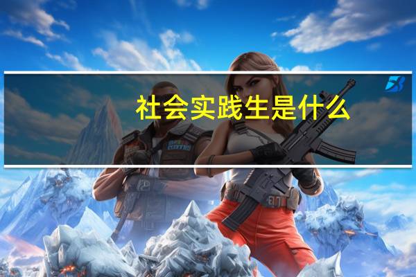 社会实践生是什么