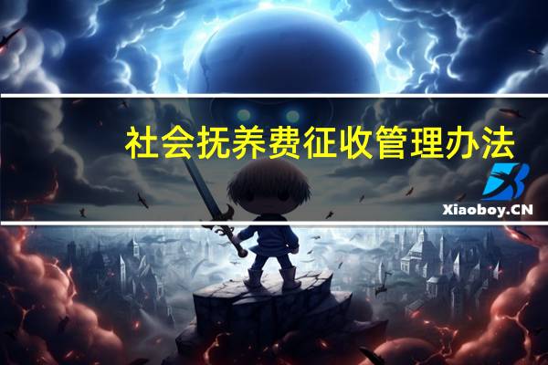 社会抚养费征收管理办法