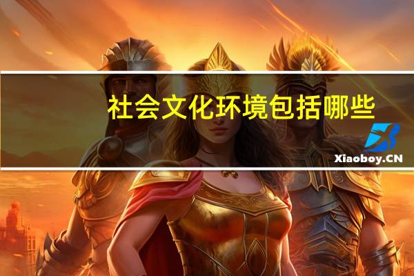 社会文化环境包括哪些