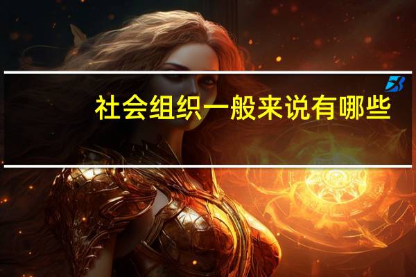 社会组织一般来说有哪些