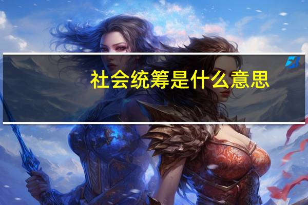 社会统筹是什么意思