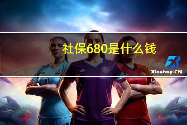社保680是什么钱