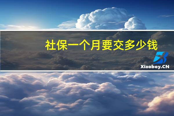 社保一个月要交多少钱