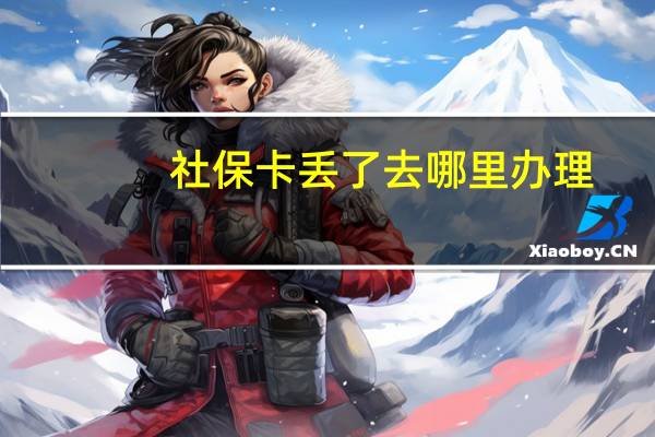 社保卡丢了去哪里办理