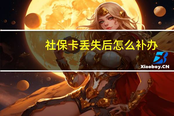 社保卡丢失后怎么补办？