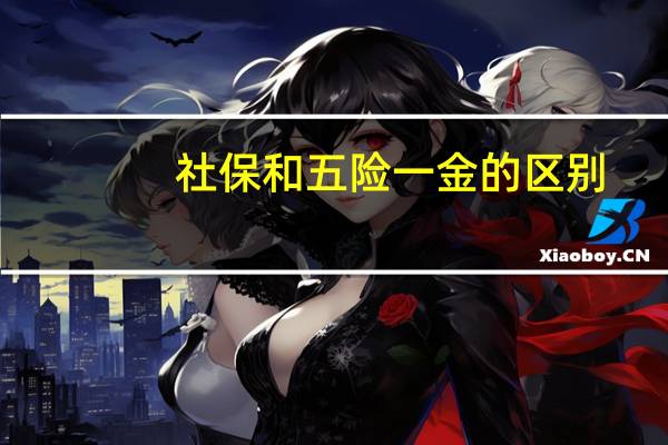 社保和五险一金的区别