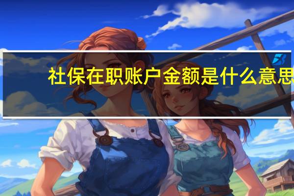 社保在职账户金额是什么意思