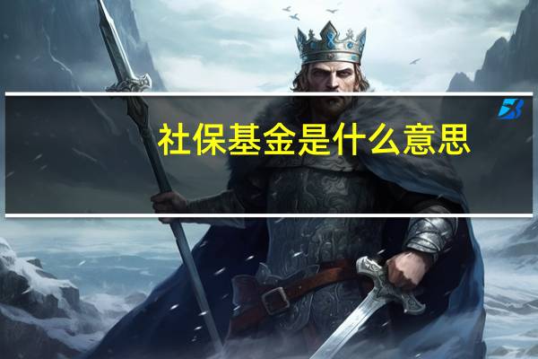 社保基金是什么意思