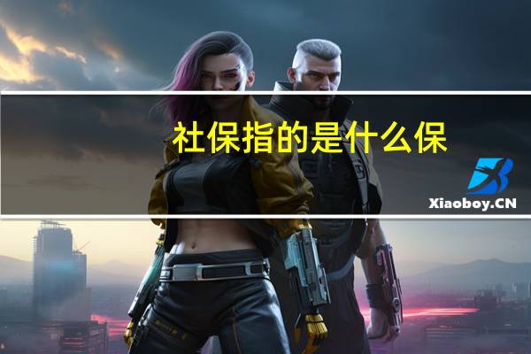 社保指的是什么保