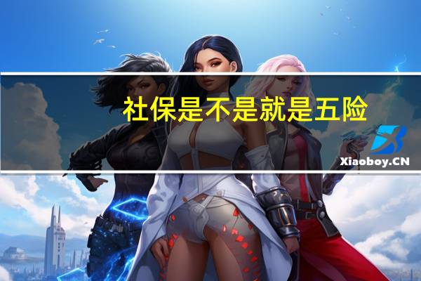 社保是不是就是五险