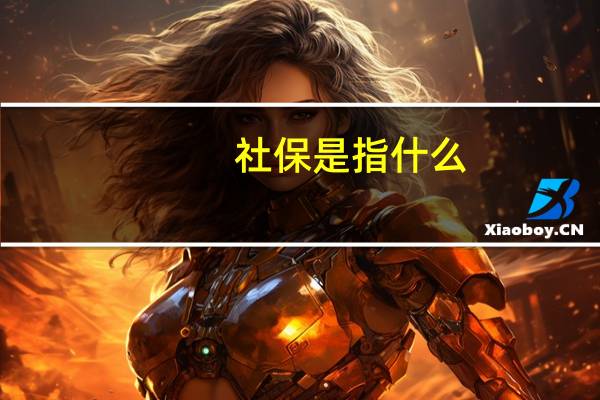 社保是指什么