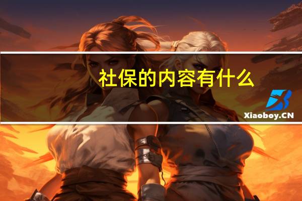 社保的内容有什么