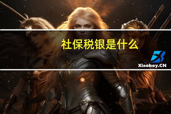 社保税银是什么