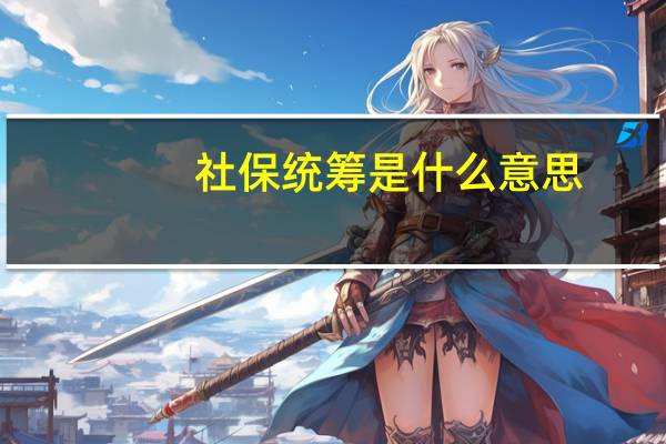 社保统筹是什么意思