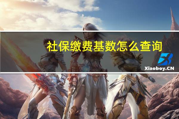 社保缴费基数怎么查询