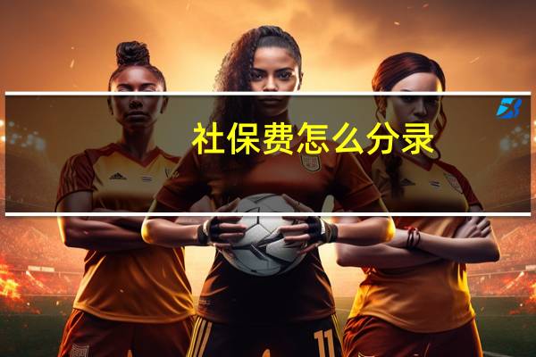 社保费怎么分录