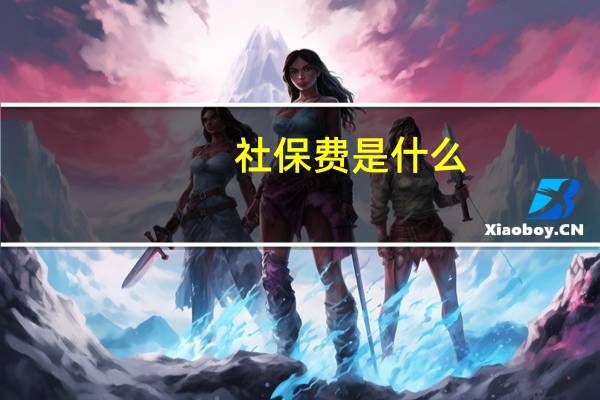 社保费是什么