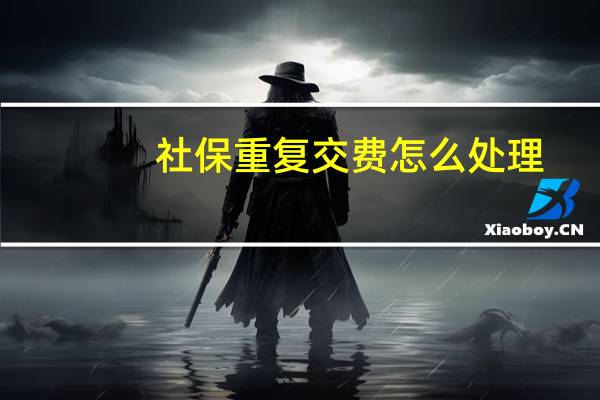 社保重复交费怎么处理