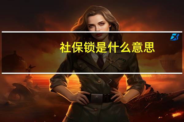 社保锁是什么意思