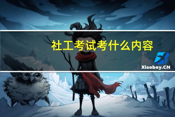 社工考试考什么内容