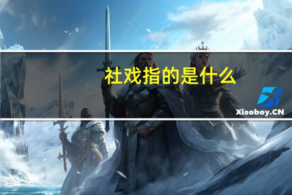 社戏指的是什么