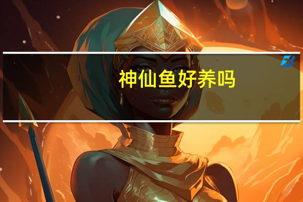 神仙鱼好养吗