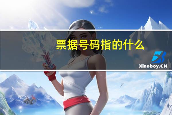 票据号码指的什么