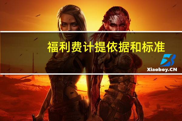 福利费计提依据和标准