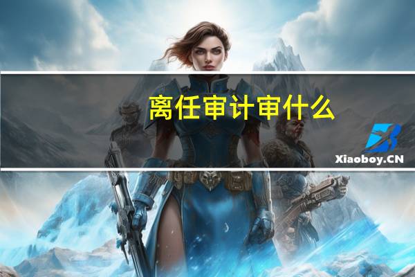 离任审计审什么