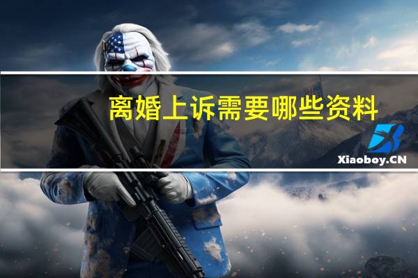 离婚上诉需要哪些资料