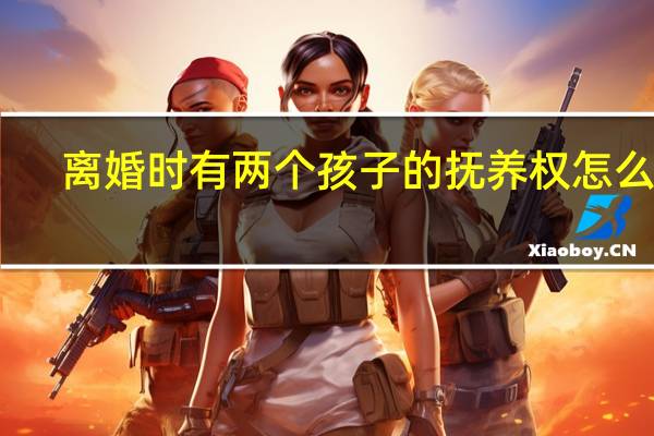 离婚时有两个孩子的抚养权怎么分