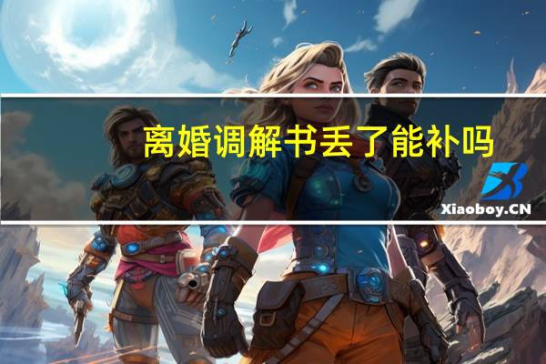 离婚调解书丢了能补吗