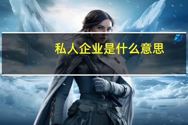 私人企业是什么意思