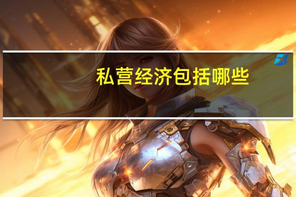 私营经济包括哪些