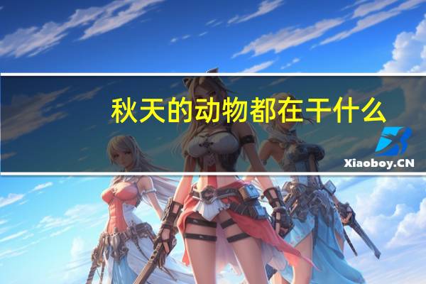 秋天的动物都在干什么？