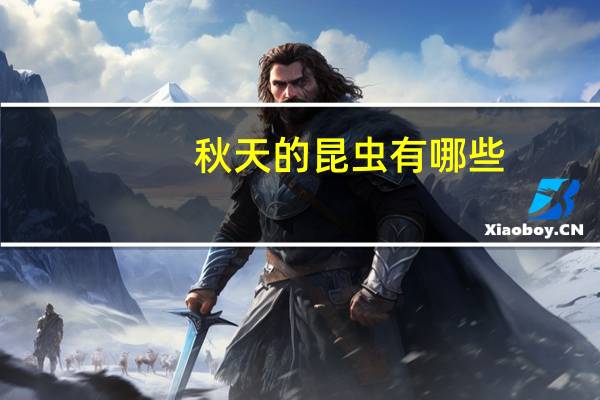 秋天的昆虫有哪些