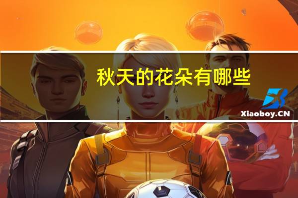 秋天的花朵有哪些