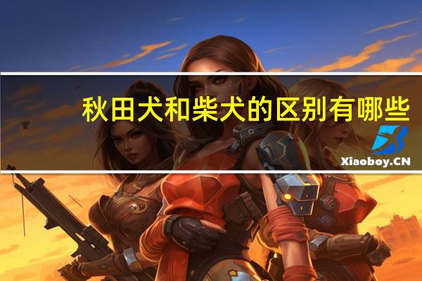秋田犬和柴犬的区别有哪些