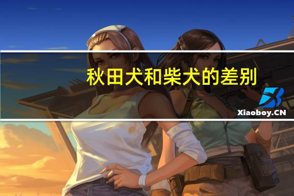 秋田犬和柴犬的差别