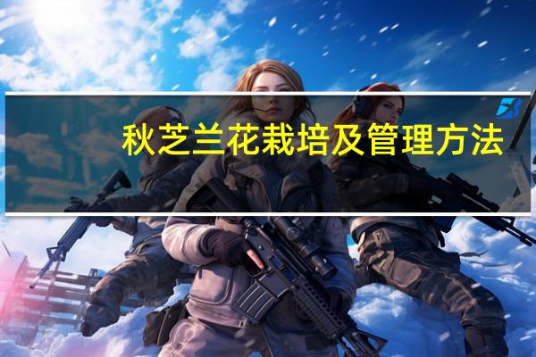秋芝兰花栽培及管理方法