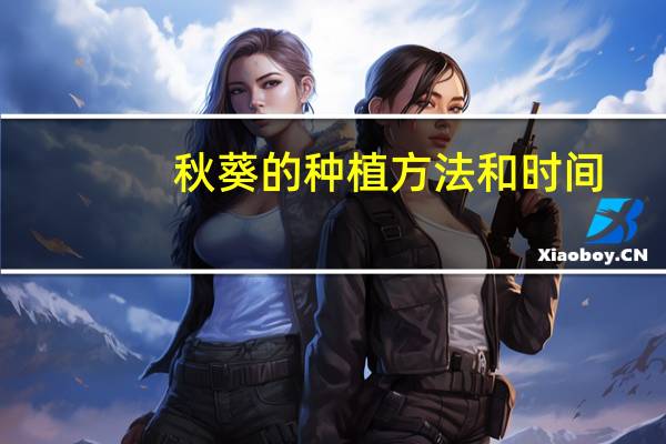 秋葵的种植方法和时间
