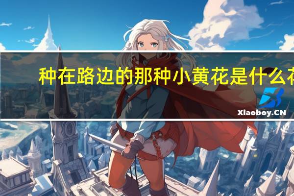 种在路边的那种小黄花是什么花