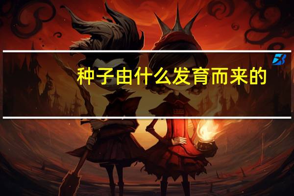 种子由什么发育而来的