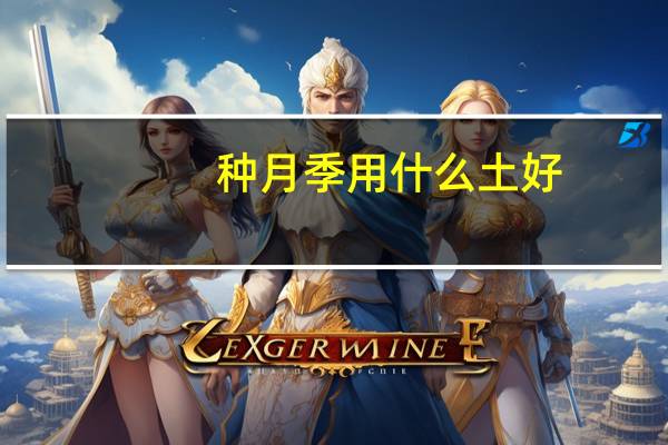 种月季用什么土好