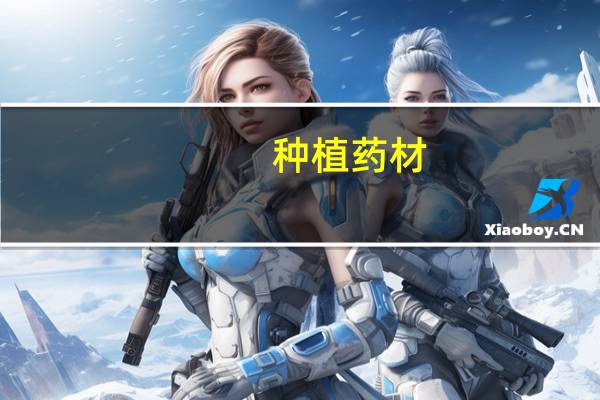 种植药材,怎么找销路