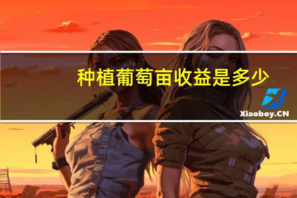 种植葡萄亩收益是多少