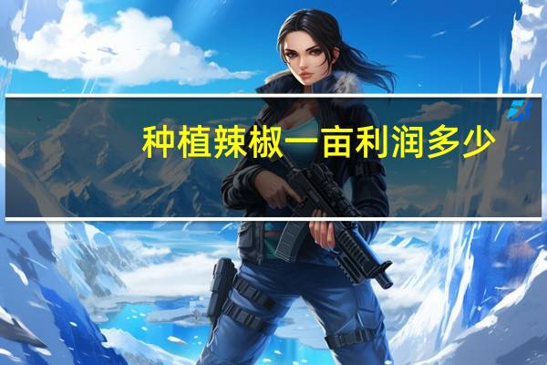 种植辣椒一亩利润多少