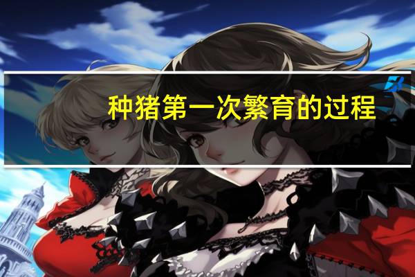 种猪第一次繁育的过程