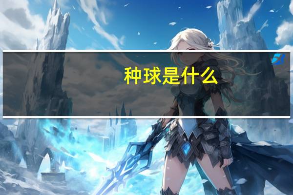 种球是什么