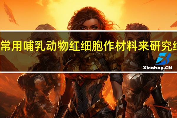 科学家常用哺乳动物红细胞作材料来研究细胞膜的组成，主要原因是